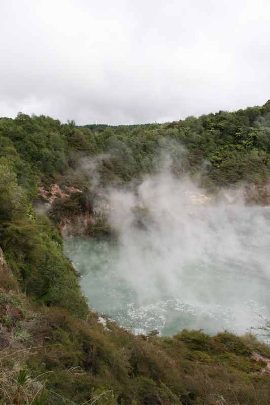 Nieuw-Zeeland 2011 - 0690